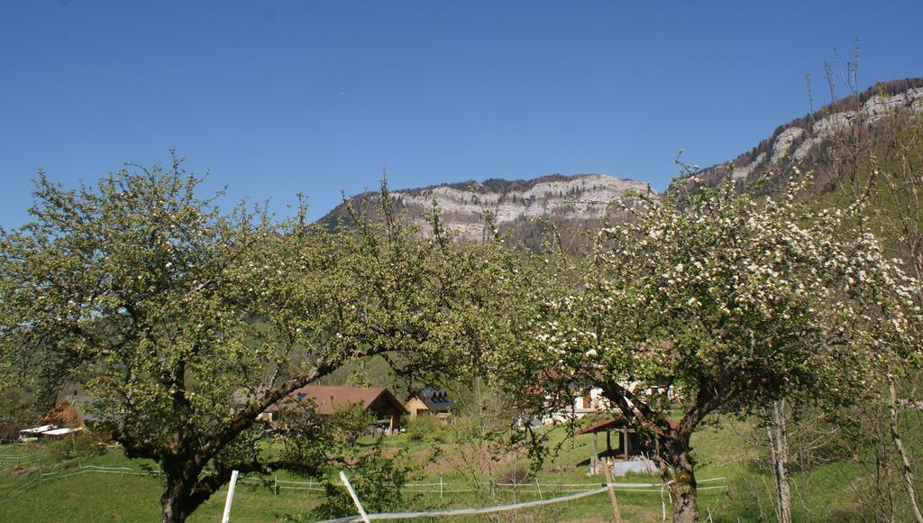 Ferme De La Cochette Guest house *